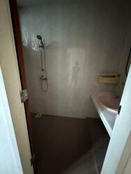 Serangoon Garden Estate (D19), Semi-Detached #517080621